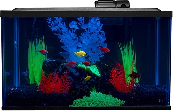 Best Corner River Fish Tank