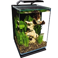 Best Planted River Fish Tank summary