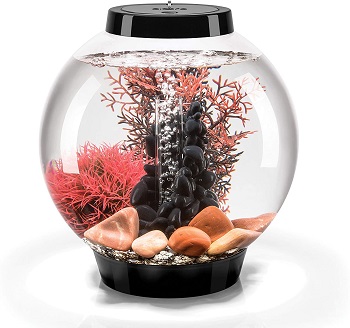 Best Round River Aquarium