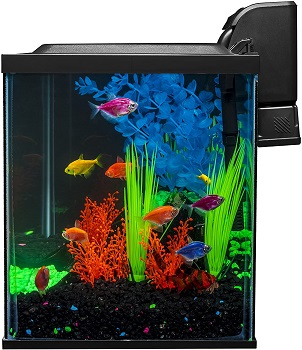 GloFish Aquarium Kit 