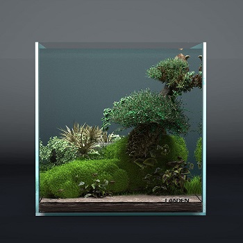 Landen Rimless Aquarium