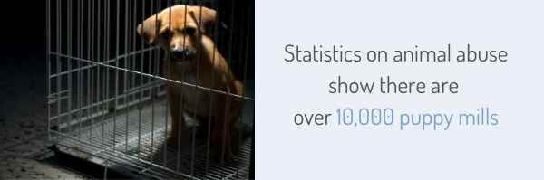 Statistics on animal abuse show there are over 10,000 puppy mills