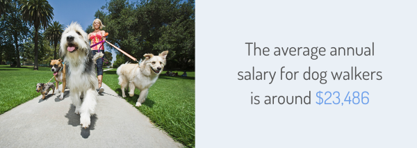 The average annual salary for dog walkers is around $23,486
