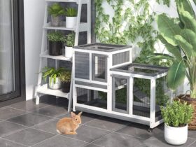 bunny-rabbit-cages-houses-hutch