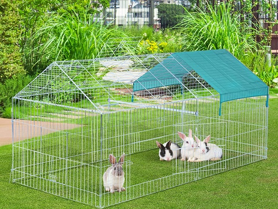 bunny-rabbit-playpen