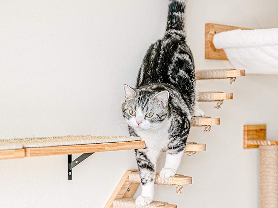 cat-climber-wall-mounted-tree-furniture
