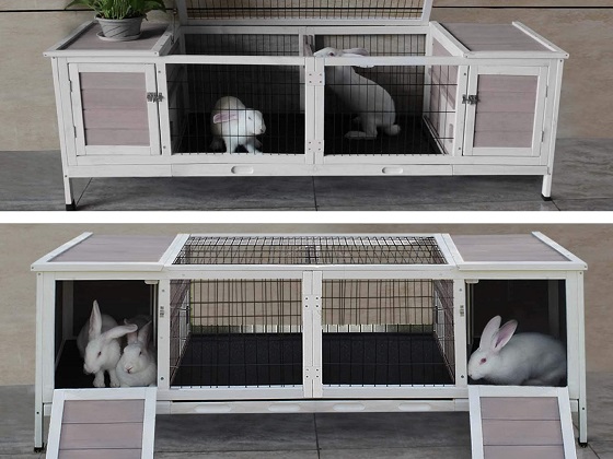 large-indoor-rabbit-cage