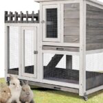 outdoor-rabbit-bunny-hutch-cage-enclosure-house