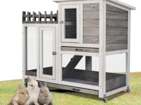 outdoor-rabbit-bunny-hutch-cage-enclosure-house