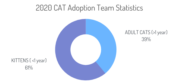2020 CAT Adoption Team Statistics 1