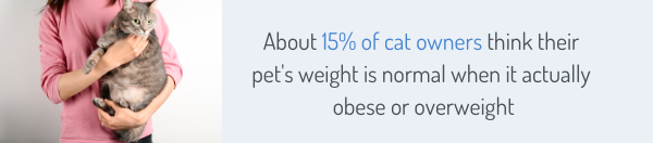 About 15% of cat owners think their pet's weight is normal when it actually obese or overweight