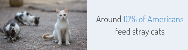 Around 10% of Americans feed stray cats