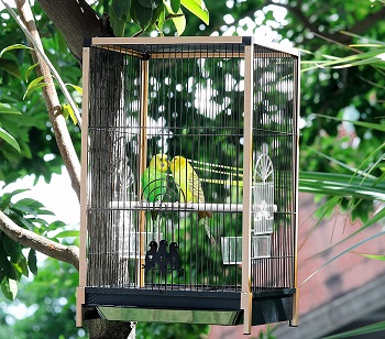 BEST METAL HANGING DECORATIVE BIRD CAGE