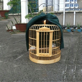 BEST OUTDOOR DECORATIVE WOODEN BIRD CAGE