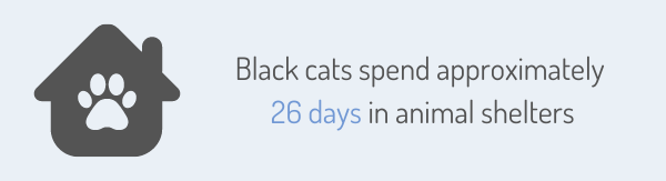 Black cats spend approximately 26 days in animal shelters