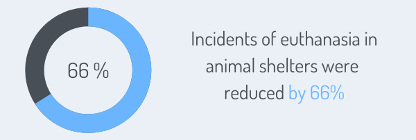 Incidents of euthanasia in animal shelters were reduced by 66%