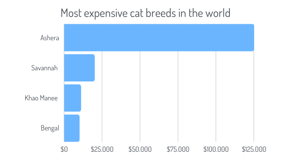 Most expensive cat breeds in the world