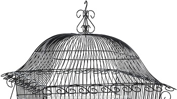 Prevue Hendryx Designer Bird Cage