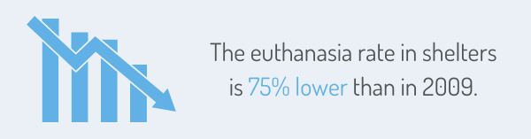 The euthanasia rate in animal shelters is 75% lower than in 2009.