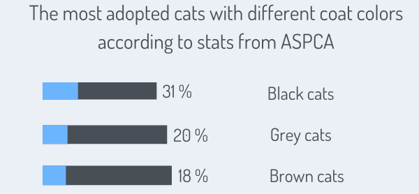 The most adopted cats with different coat colors according to stats from ASPCA