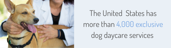 United States has more then 4,000 exclusive dog daycare services
