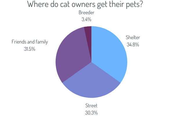 Where do cat owners get their pets