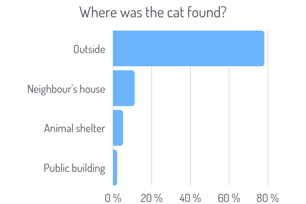 Where was the cat found