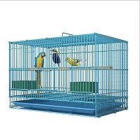 Yyds Wrought Iron Blue Cage For Birds Summary