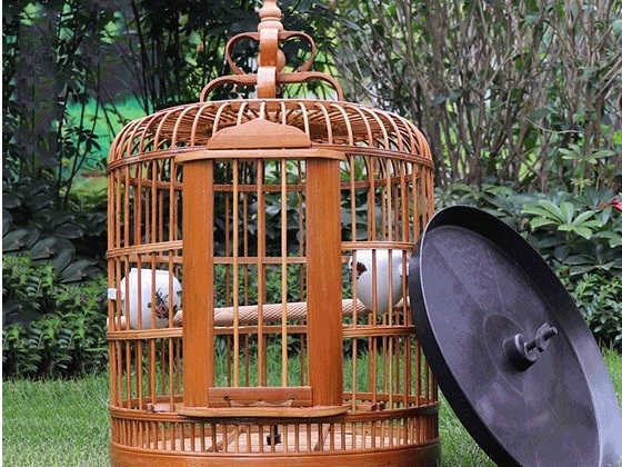 best decorative wooden bird cages
