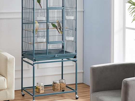 blue-bird-cage