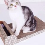 cardboard-cat-scratcher