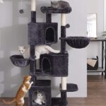 cat trees for large cats