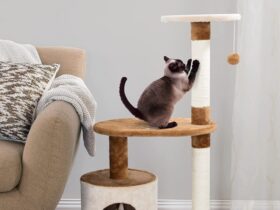 tall-cat-scratching-post