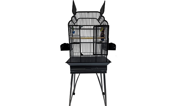 A&e Cage Co. Gothic Bird Cage Review