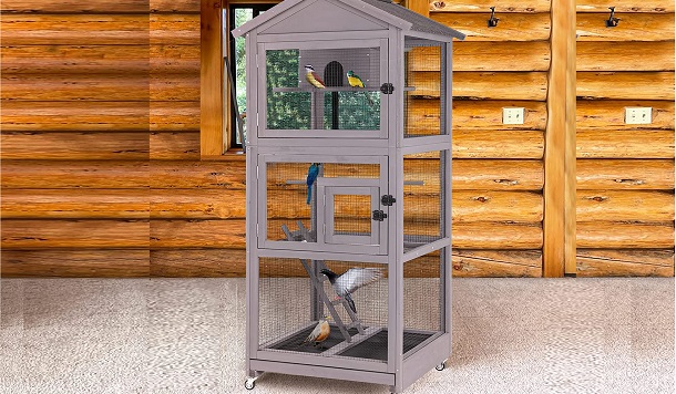 Aivituvin Indian Ringneck Bird Cage Rreview