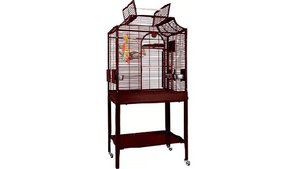 King's Cages Elegant Bird Cage Review