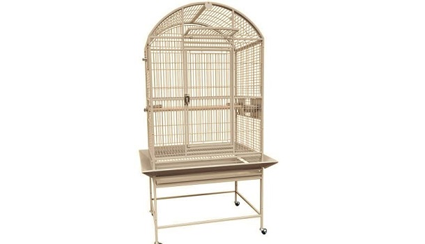 King's Cages Indian Ringneck Bird Cage Review