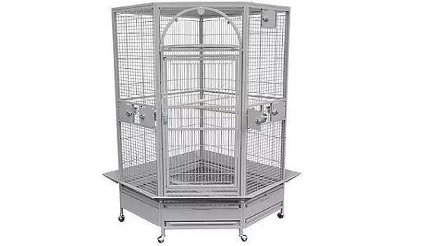 King's Cages Parrot Cool Bird Cage Review