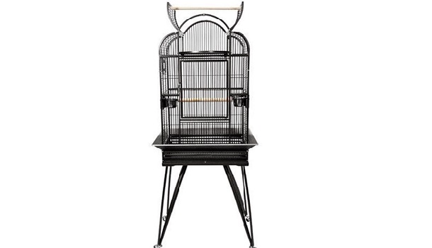 King's Cages Playtop Gothic Bird Cage