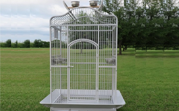 Mcage Cool Bird Cage Reeview