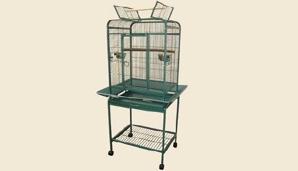 Mcage Green Bird Cage Review