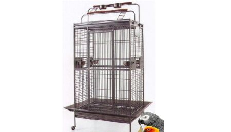 Best 5 Cat Proof Bird Cages In 2022 - Petovly