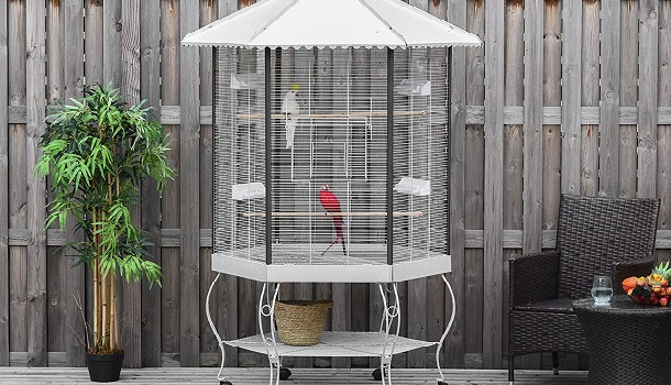 Pawhut Cool Bird Cage Review