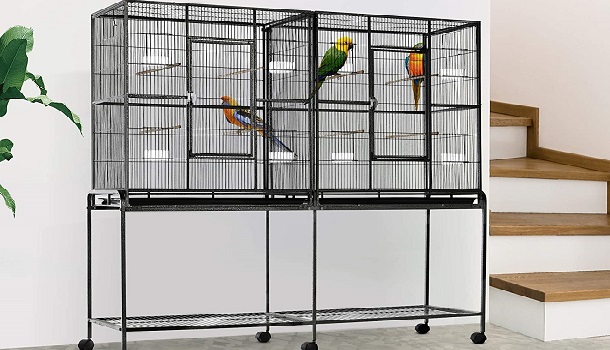 Double Flight Cage