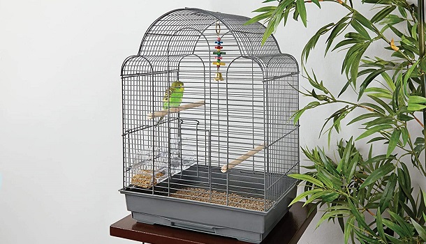Petco Brand Luxury Bird Cage Review