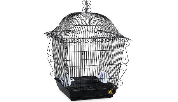 Prevue Hendryx Gothic Bird Cage Review