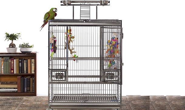 Prevue Pet Products Indian Ringneck Bird Cage Review