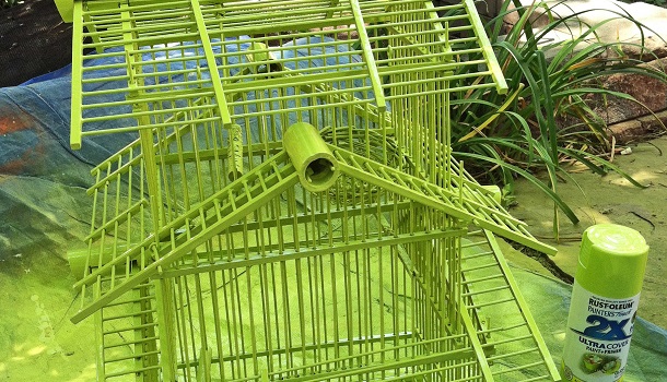 Repaint a Bird Cage
