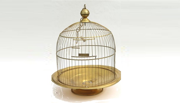 Round Cage NO