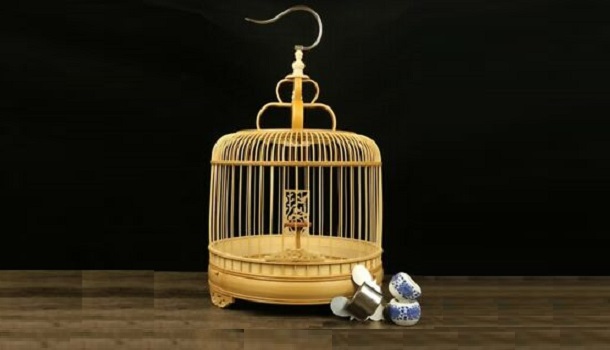 Rounded Bird Cage